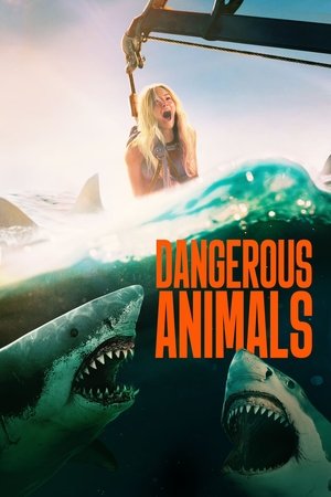 MoviesNation Dangerous Animals 2025 Hindi+English Full Movie Blu-Ray 480p 720p 1080p Download