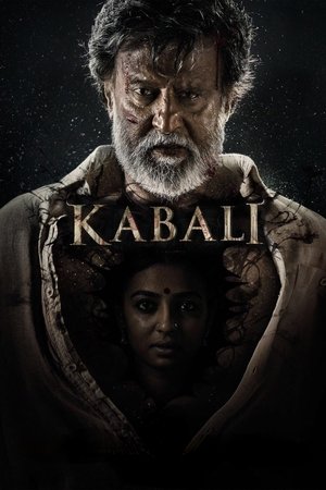 MoviesNation Kabali 2016 Hindi+Tamil Full Movie WEB-DL 480p 720p 1080p Download